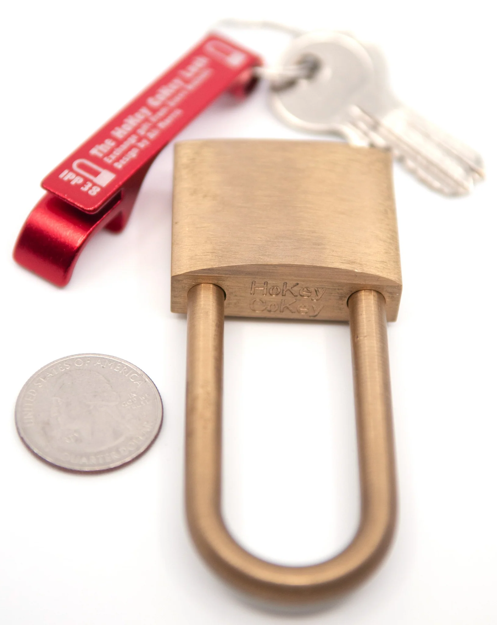 AW_Puzz_Cat-DSC_9148_1024x1024@2x